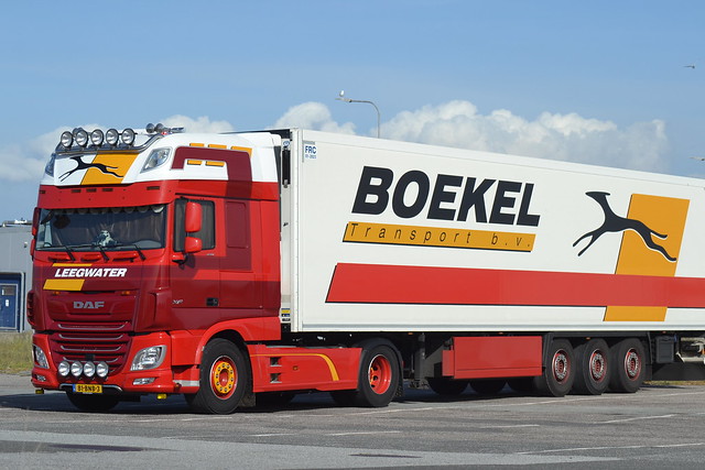 DAF XF 480 - Boekel & Leegwater Transport - NL  81-BNB-3