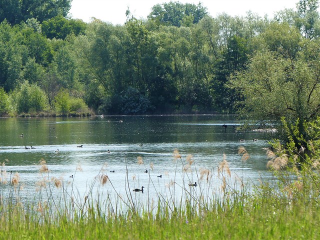Vogelschutzgebiet Garstadt