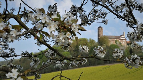 spring nature landscape travel trees blossom frühling blüten jugendburg ludwigstein
