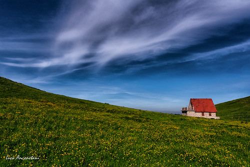 Spring colors | by Luca-Anconetani