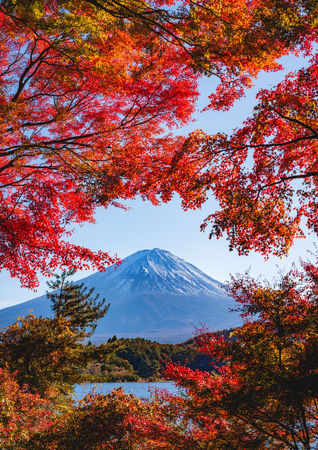 🇯🇵🗻🍁🍂 Mount Fuji