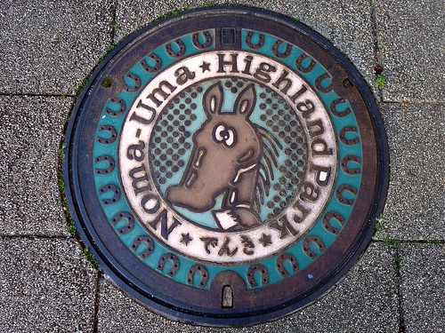 horse manhole color