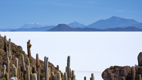 View from the Island of Incahuasi - Salar de Uyuni - Bolivia