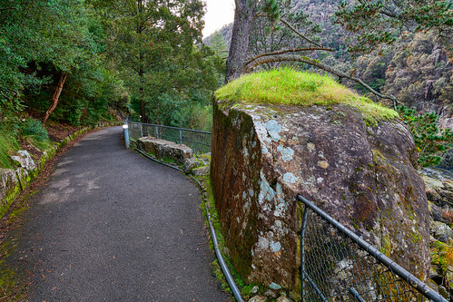 luminosity7 nikond850 launceston tasmania australia stonegathersmoss cataractgorge covid19 covertphotosdiary rocks moss earlymorninglight bushland path landscape southeskriver