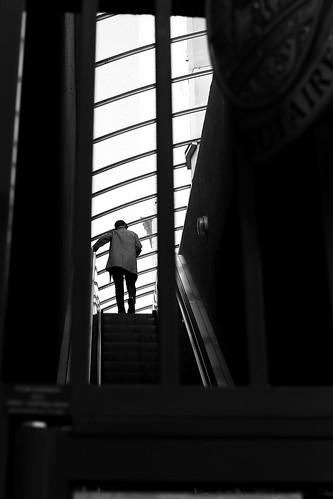 paris13 homme man vitres windows fenetres lumière light ombres shadows escalier stairs sol ground line ligne escalator photoderue streetview urbanarte noiretblanc blackandwhite photopascalcolin 50mm canon50mm canon
