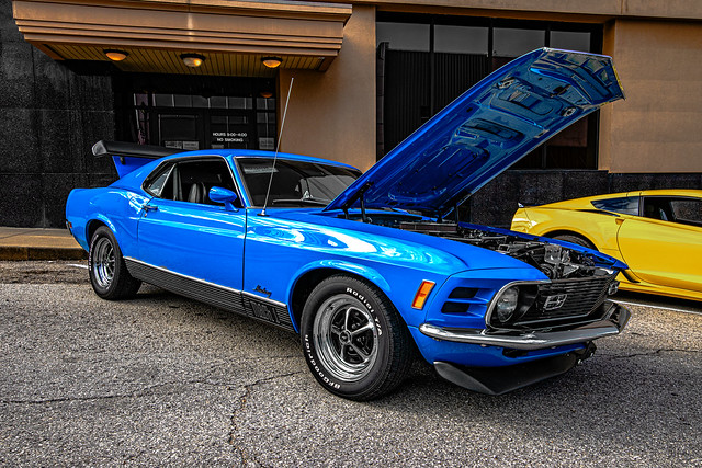 Mighty Mustang Mach 1