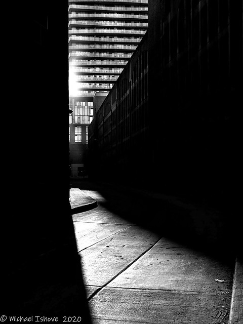 200524 -  The sun shining through.....Conger Coal Lane/Church St.