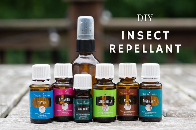 DIY Insect Repellant