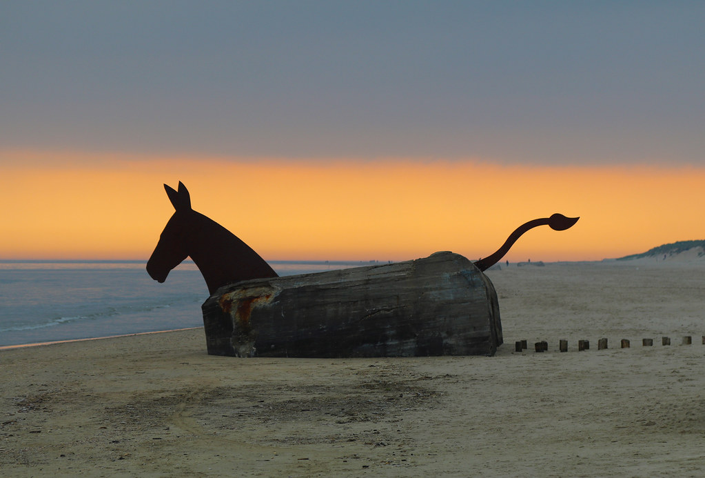 Coast Wild Horses | Blavand Thomas Luckmann |