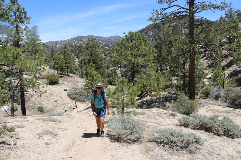 It was hot in the sun as we hiked uphill on the PCT along the Angeles Crest Highway