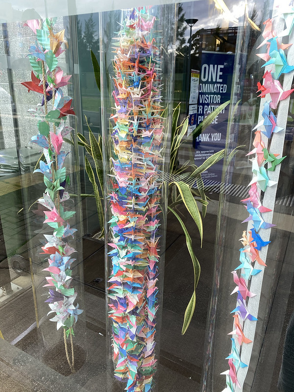 1000 paper cranes, Royal North Shore Hospital