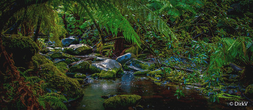falls erskinefalls australia lorne landscape nature rainforest dirkv100
