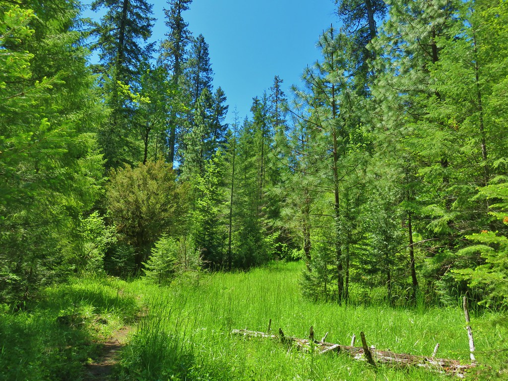 Middle Fork Trail