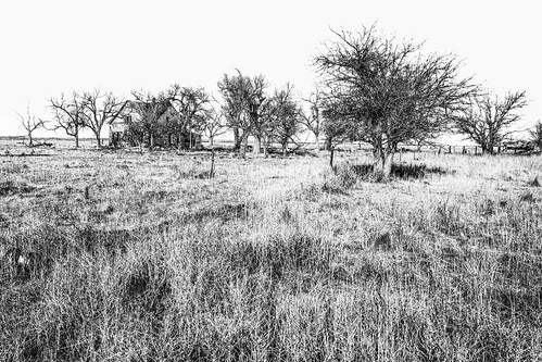 solemn shack landscape bushes brush serious quiet trees abandoned barn tree monochrome blackwhite house colorado d850 scary forgotten farm creepy field lasanimas unitedstatesofamerica