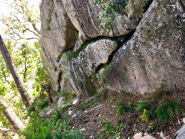 Sur le PR6, dans la descente Sud de Ranedda (direction Pisciaronu) : le long du grand bloc rocheux de la descente