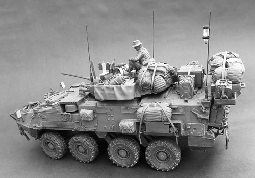 Canadian Lav III, Black Dog T35033