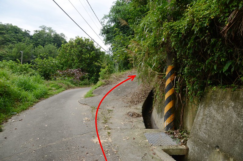 外大坪(大坪林山)登山口