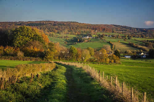 epen southlimburgzuidlimburg landscape hill hills goldenhour blue color colours colors colour green autumn light netherlands nederland outdoors outdoor panorama sony scenic tree trees thenetherlands valley wimvandem golddragon mg