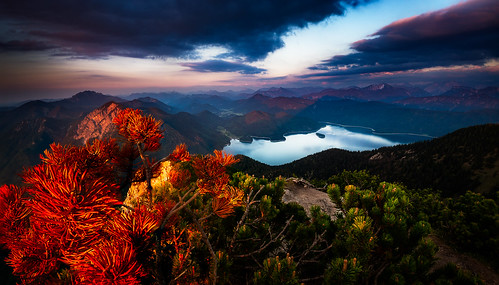 germany walchensee kochel stefanklauke sky lake mountains alps nature landscape bavaria hiking mountainscape herzogstand flowers sunset red clouds evening colorful sunsetlight