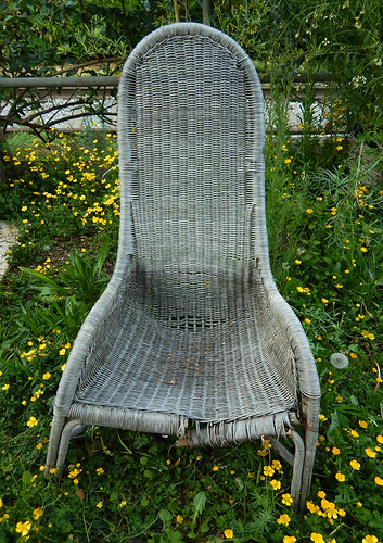 old woven chair surrounded by buttercups