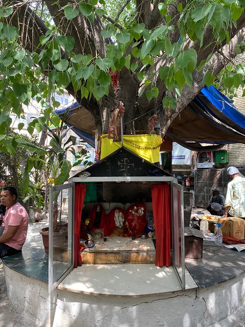 City Hangout - Peepal Tree & Sant Lal's Tea Stall, East of Kailash Enclave