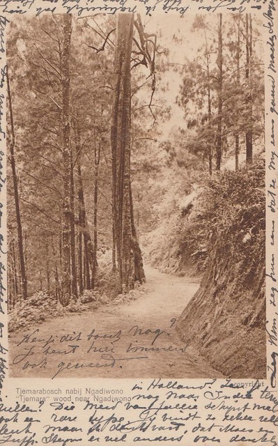 Tosari - Ngadiwono, 1920