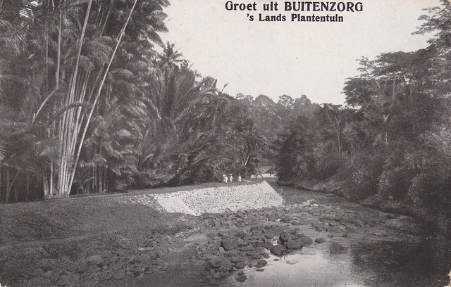 Bogor - Botanic Garden, 1913