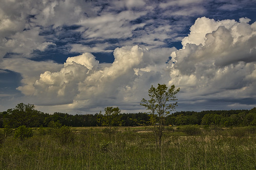 uwarboretum wisconsin madison outdoor nature landscape clouds prairie canon eosr