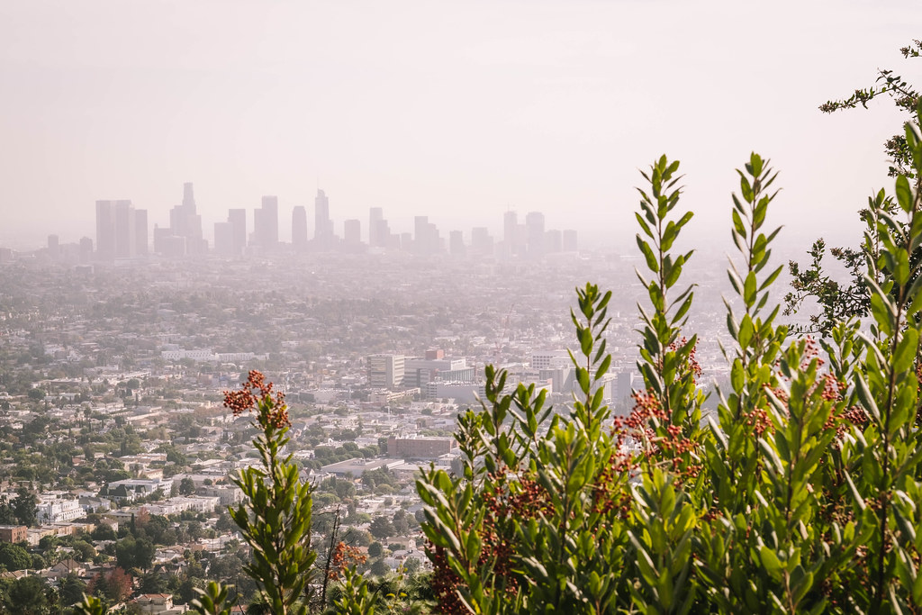 View from Griffith Observatory, Los Angeles, California_DSF1417