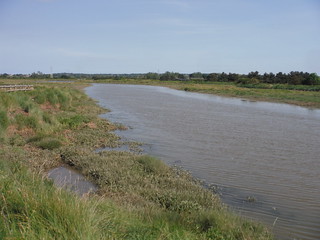 The tidal River Crouch, near Battlesbridge SWC Walk 157 - Wickford to Battlesbridge or South Woodham Ferrers [Battlesbridge Ending]
