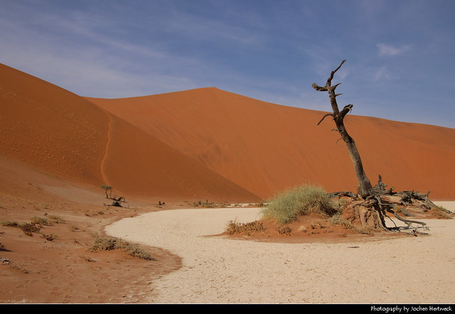 Deadvlei, Namib-Naukluft NP, Namibia