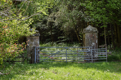 fencedfriday fence gate countryside landscape entrance field scenic ayrshire scotland nikon d3300 harrymcgregor 28 may 2020 trees woodland meadow farmland