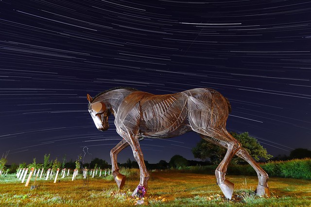 War Horse Star Trail With Light Paint