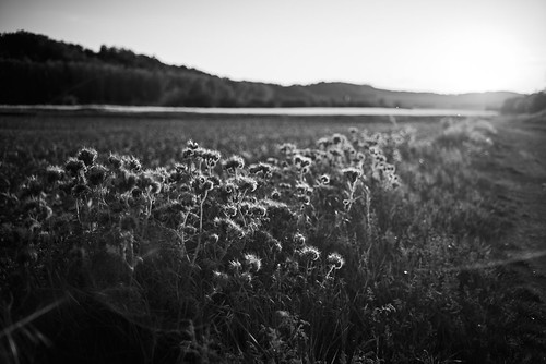 evening | by Elmar Egner