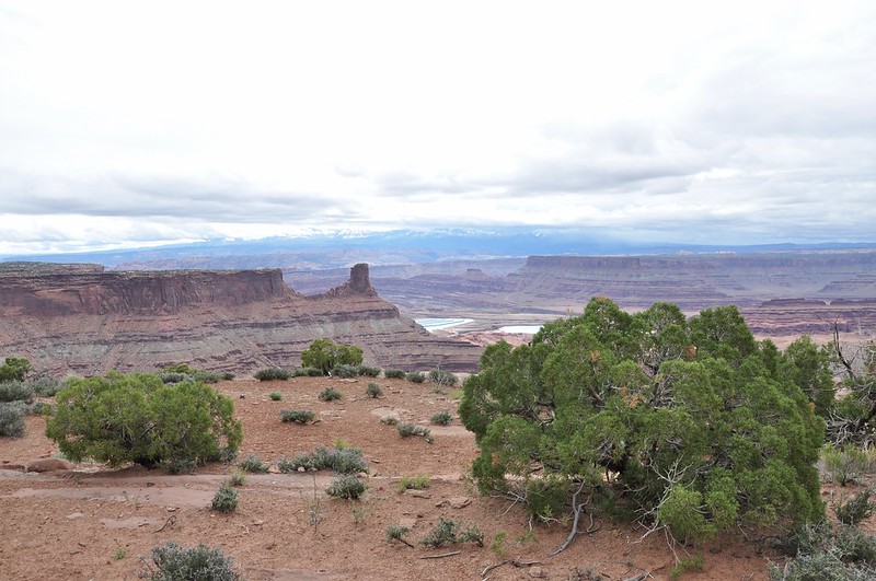 East Rim Trail ~ Dead Horse Point State Park