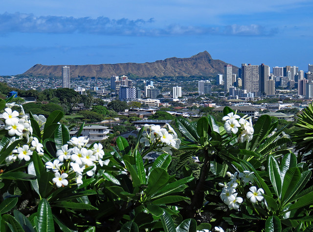 Tropical Honolulu