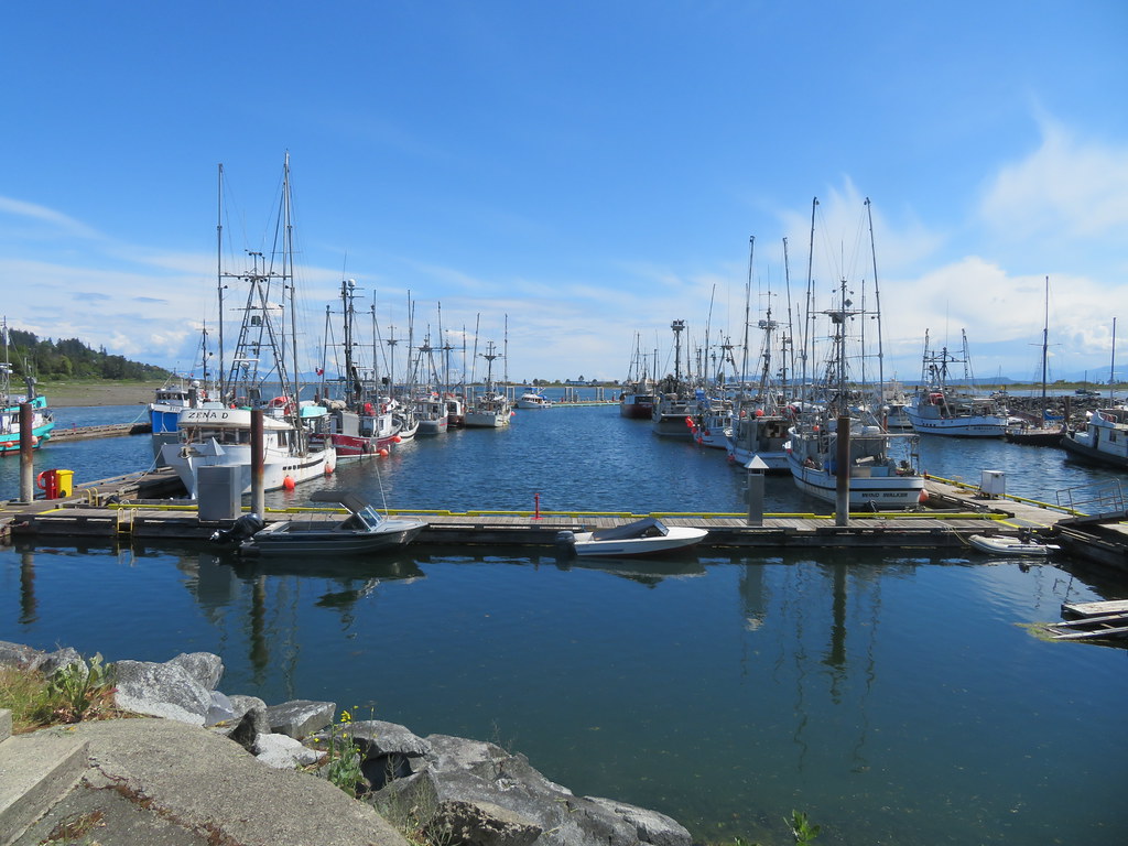 Comox Harbour and Marina