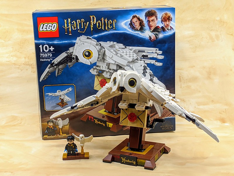 75979: LEGO Harry Potter Hedwig Set Review - BricksFanz