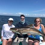 Lucky Bunny! Gets her once in a lifetime Cobia