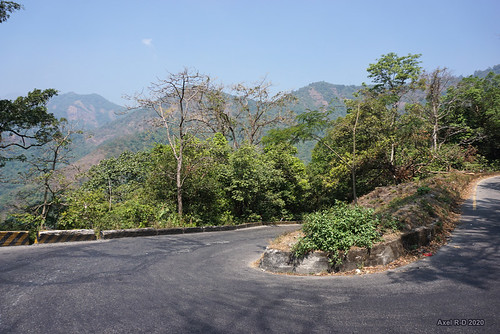 india kerala montagnes route wayanad