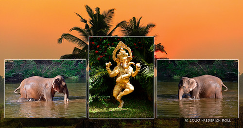 india goa collem junglebook elephant ganesha statue hindu benaulim sunrise dawn palms triptych fjroll ©freddie collage