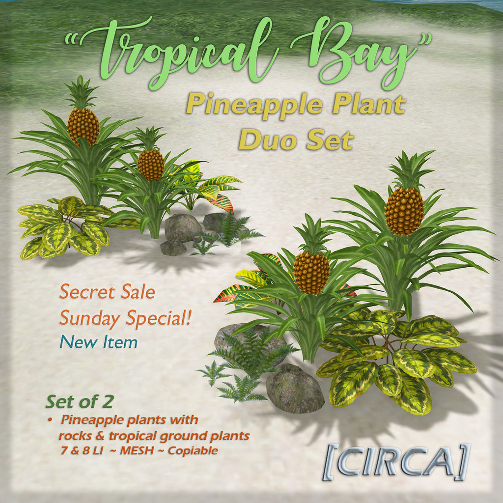 SSS Event Item | [CIRCA] - "Tropical Bay" Pineapple Plant Duo Set