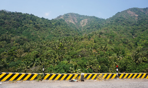 india kerala montagnes route wayanad