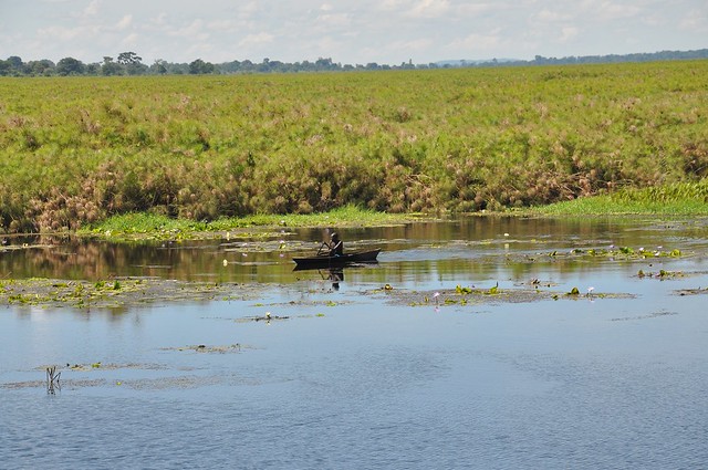 Man fishing in swamp in Butaleja
