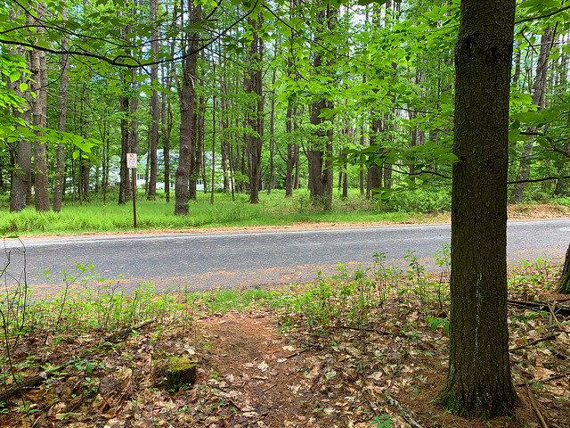 0:44:39 (100%): hiking lebanon newhampshire chambersmemorialreserve westlebanon unitedstatesofamerica