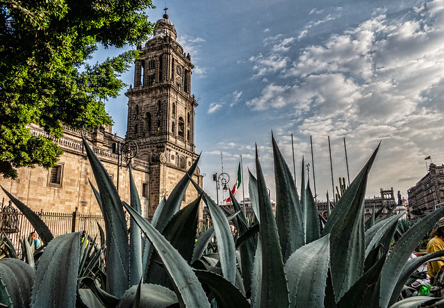 Catedral Mexico CDMx
