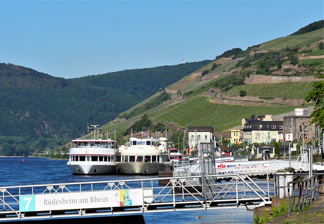 Trip with Ships on the River Rhine under Coronavirus Conditons - May 2020