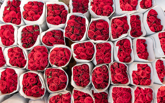 Flower Market Delhi Rote Rosen