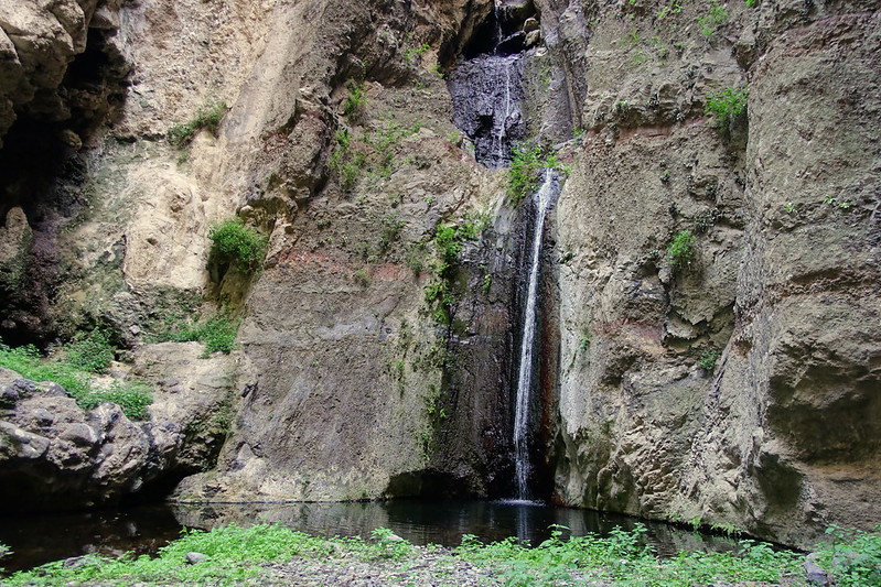 Sendero del Barranco del Infierno. Regreso a Masca con sol. - Recorriendo Tenerife (Islas Canarias). Vacaciones en la isla de los contrastes. (32)