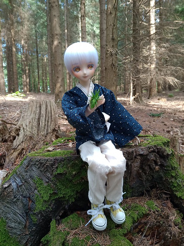 [Dollce+obitsu] In the woods (bas p1) 03/08 49963328243_72bb277bc5_c